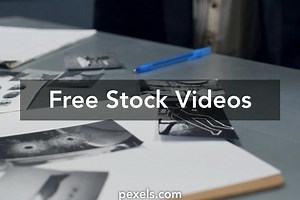 Police Scene Videos, Download The BEST Free 4k Stock Video Footage & Police Scene HD Video Clips