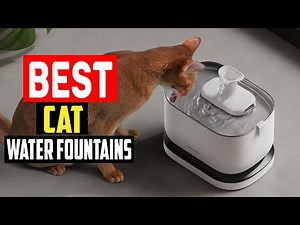 ✅Top 5 Best Cat Water Fountains in 2025