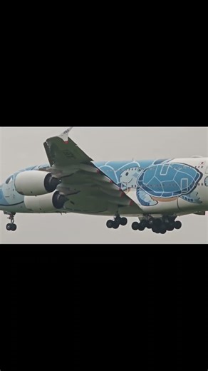 ド迫力！ANA A380 成田着陸 | Powerful ANA A380 Landing at Narita