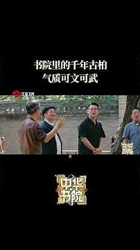 中华书院 惊！书院古柏也有文武双担？ 20250901