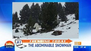 55K views · 378 reactions | Has the Abominable Snowman been found? This video captured in Spain has terrified skiers who spotted the Yeti-type monster trudging through snow. Is it for real? (Credit: Twitter/forocoches) #9Today | TODAY | Facebook