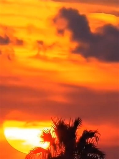 10 Minutes of Happiness, Perfected Witness the breathtaking transformation of the sky over La Contessa—my favorite place in the world. This is more than a sunrise; it's 10 minutes of pure happiness (captured between 6:52 AM and 7:02 AM on August 1, 2025) compressed and cinematized into just 27 seconds. The Creative Process: Scripting the Sunrise This video wasn't simply filmed; it was engineered. The process began with intense selection: I chose 6 perfect photos out of the 180 images I captured 