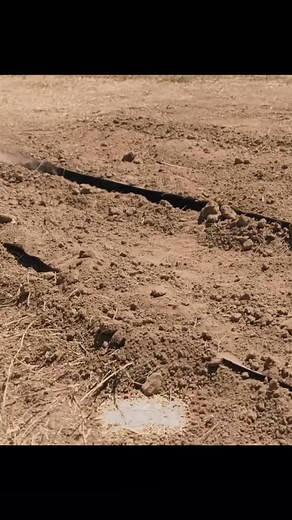 2M views · 10K reactions | She called the police on her neighbor… #fyp #movie | Mood Frame | Facebook