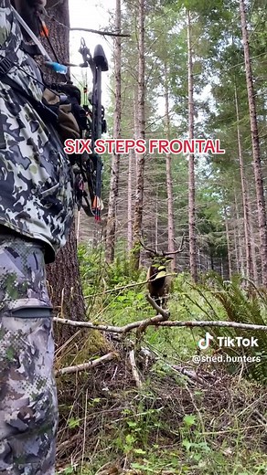 Extreme close range Oregon Coast Bull Elk Archery Kill! #elk #archery #elkseason #rooseveltelk #hunter #hunting #bowhunter #bowhunting #pnw #arrow #camo #extreme #wild #bigbull #oregon #oregoncoast