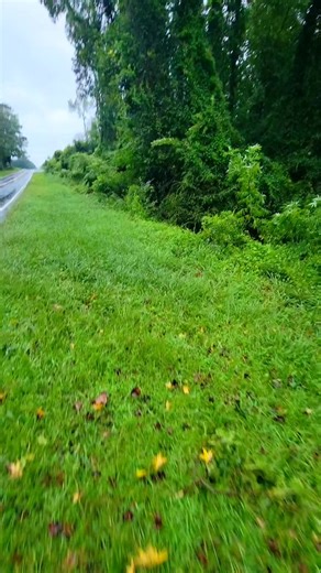 New Creek After Hurricane Idalia Dumped 9.6 Inches Of Rain! #terrellspivey #beaverdam #hurricaneidalia #newcreek #flooding #reels #fbreels | Terrell Spivey
