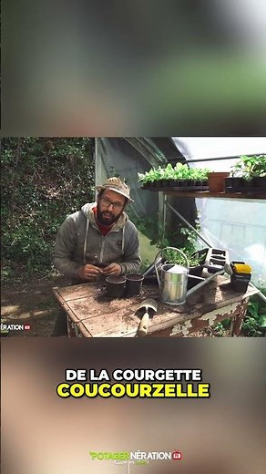 🌱 Courgettes : Le bon sens de la graine change tout ! 😲