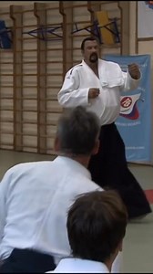 597K views · 10K reactions | Steven Seagal Akido #reelsfb #StevenSeagal #aikido | 4KMovie | Facebook