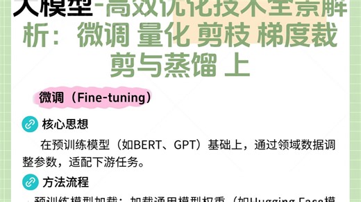 大模型-高效优化技术全景解析：微调 量化 剪枝 梯度裁剪与蒸馏 上 视频