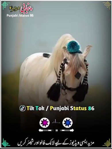 How to Unfreeze a TikTok Account: Step-by-Step Help