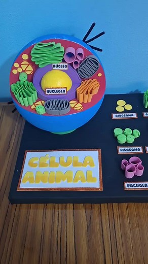 Maqueta de Célula Animal: Tutorial Creativo
