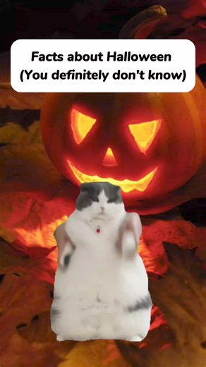 77K views · 1.5K reactions | Facts about Halloween, You definitely don't know #fyp #original #cats #viral2024 #halloween #simplistatedhistory | Simply Stated History | Facebook