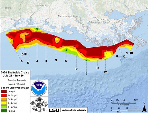 A 'dead zone' is growing in the Gulf of Mexico. It's now the size of New Jersey