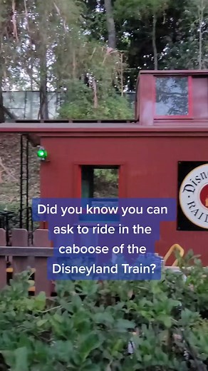 Disney * The Mouse For Less on TikTok