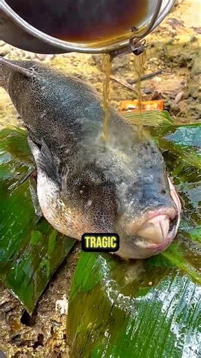 The Cruelest Animal Endings 😱#animalfacts #wildlife #facts