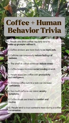 Coffee doesn’t just wake you up it changes how you think, feel, and interact. That explains a lot. ☕😌 #CoffeePsychology #CoffeeHabits #HumanBehavior #CoffeeRoutine #fblifestyle | Mico Vlog