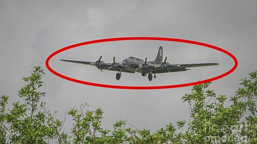 Against All Odds: B-17 Survives 20mm Hits at Treetop Level