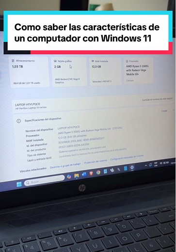 Cómo conocer las características de Windows 11