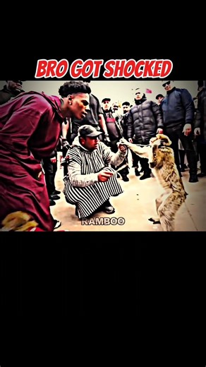 speed met with the monkey couples.😮 #ishowspeed #shorts #shortsfeed