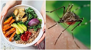 National Dengue Day: What to eat and what to avoid, check diet plan to follow for faster recovery