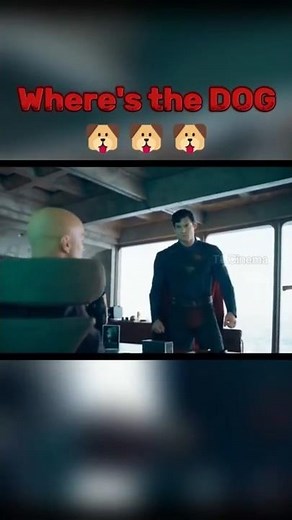 Where is the Dog | Superman 2025 movie Scene #shorts #superman