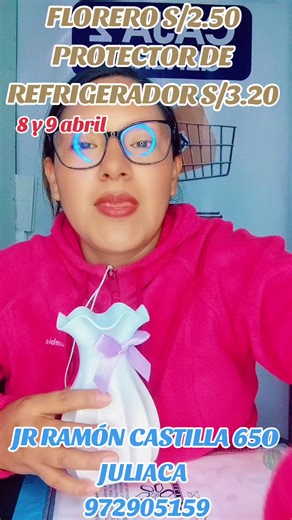 Florero y Protector Refrigerador Juliaca