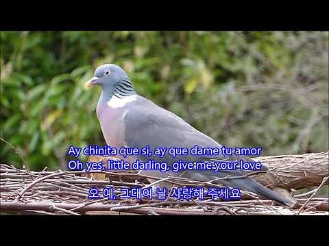 La Paloma(The Dove) - Marty Robbins: with Lyrics (Spanish\English\한글번역): 라팔로마