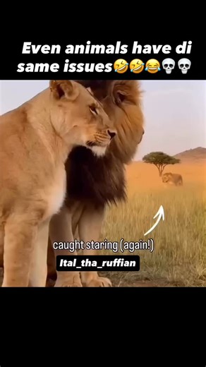 Oral Ruffian Ellis on Instagram: "#fyp #foryoupage #foryou #bestvoiceover #jamaicanvoiceover"