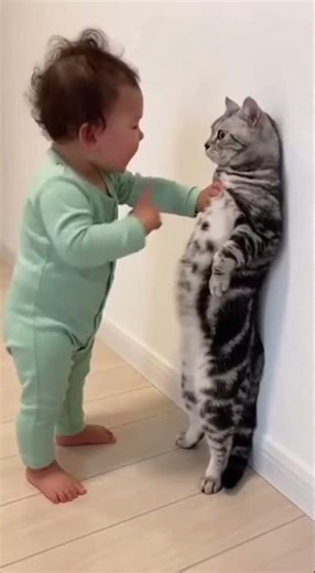Bro is standing there like he pays rent 😭🐈 #babyandcat #standingcat #wholesome #cutenessoverload