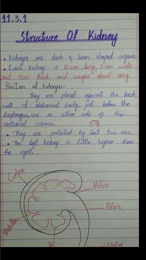 Class 10| Biology | Chapter 2| urinary system of human, structure of kidney | biological instruction