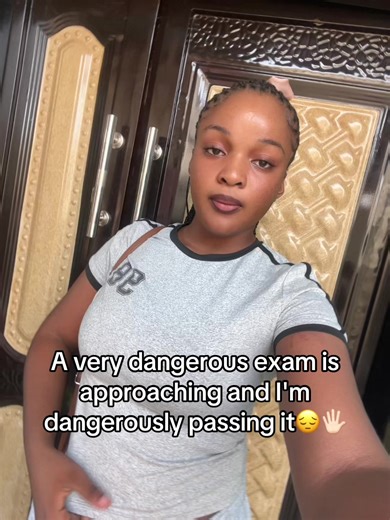 Navigating Exam Stress with Humor and Memes