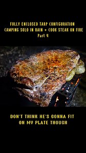 Part 2 @WildBeare Fully Enclosed Tarp Configuration Camping Solo in Rain Cook Steak on Fire #outdoors #campinglife #foryou #survival #fyp #camping | WildBeare