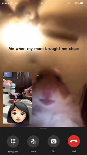 Me when my mom brought me chips #lays #meme #can