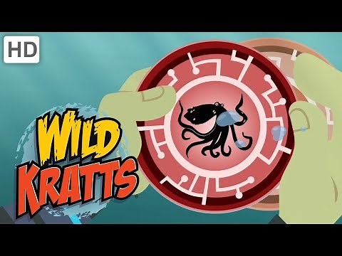 Wild Kratts 🦈🌊 Follow Those Orcas! | Kids Videos