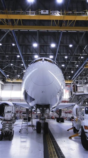 50K views · 562 reactions | Only the best for our special guests.  | FedEx | Facebook