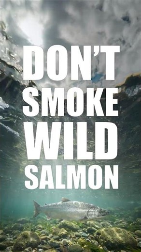 Don't Cold Smoke Fresh Caught Salmon!