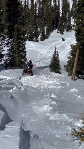 Vintage Snowmobiles for Sale - OnlySleds.com