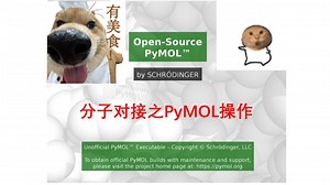 分子对接之PyMOL基础操作