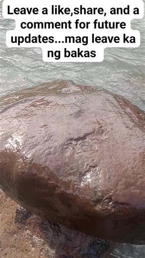 @highlight | Edwin's Daily Mix