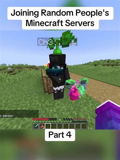 #Joining #Random #People's #Minecraft #Servers