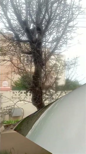 Storm Harry Hits Malta Hard 20-01-2026😍