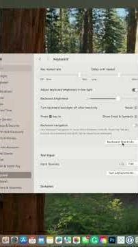If copy and paste feels awkward on your Mac, this simple setting will fix it.