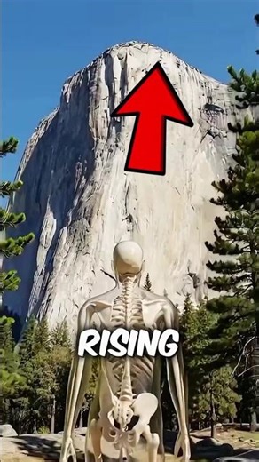 Free Climb Fatal Risk‼️😱 #Shorts #Viral