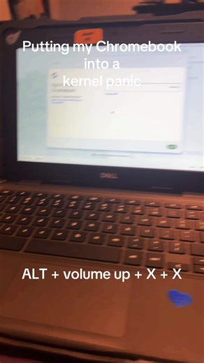 joseph (@joseph.4456)’s video of kernel panic