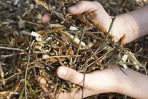 Jean Pain, l'inventeur d'une méthode de compostage qui permet de produire de la chaleur et du biogaz