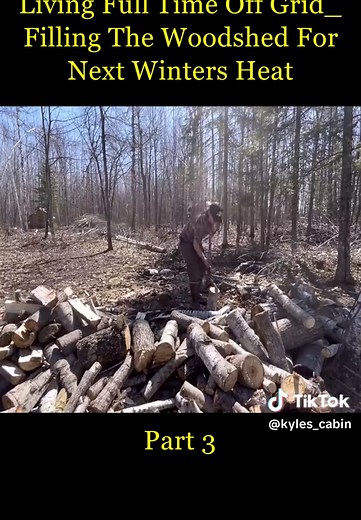 Living Full Time Off Grid_ Filling The Woodshed For Next Winters Heat (3)