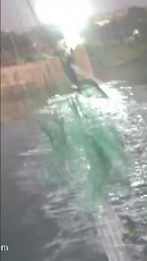 Video shows moment of India bridge collapse