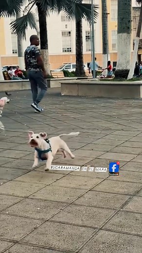 Por algo le dicen: la ciudad bonita de Colombia | Bucaramanga en el mapa