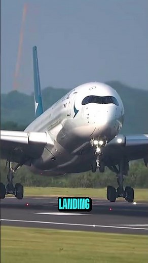 Oleo struts #aviation #aircraft #airframeandpowerplant #mechanic