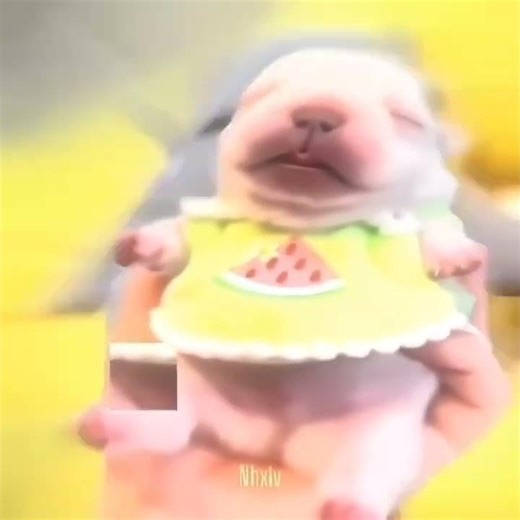 I am perom wash my berry