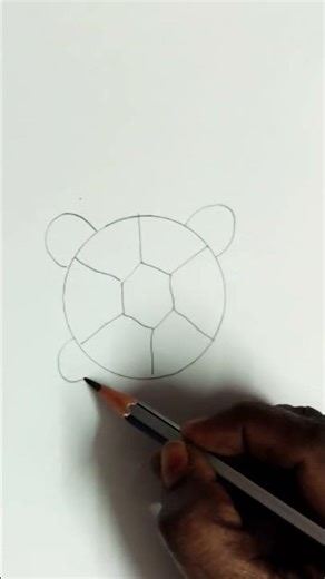 I Taught My Tortoise How to Draw